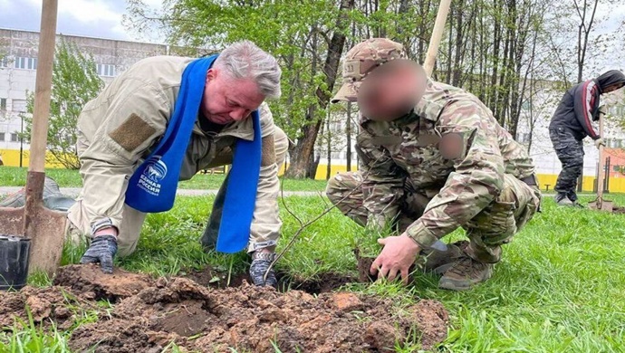 В Московской области при поддержке «Единой России» высадили аллею дубов в память о героях Великой Отечественной войны и СВО