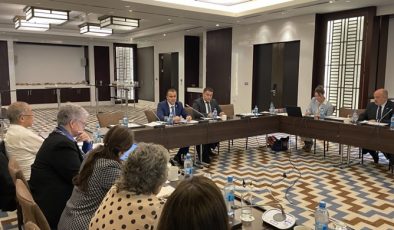 Meeting of the International Advisory Committee (IAC) of the Dushanbe Water Process