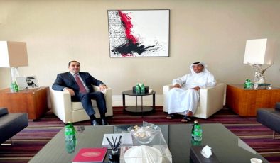 Meeting of the Ambassador with the UAE Minister of State